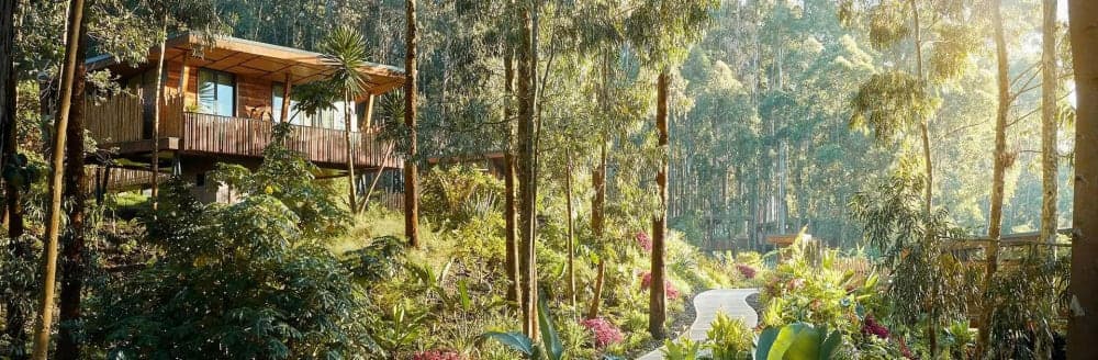 10 Rising Star Resorts in Rwanda’s Northern Province to Watch in 2026