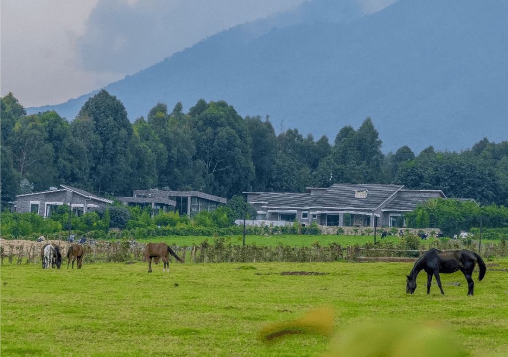 10 Rising Star Resorts in Rwanda’s Northern Province to Watch in 2026