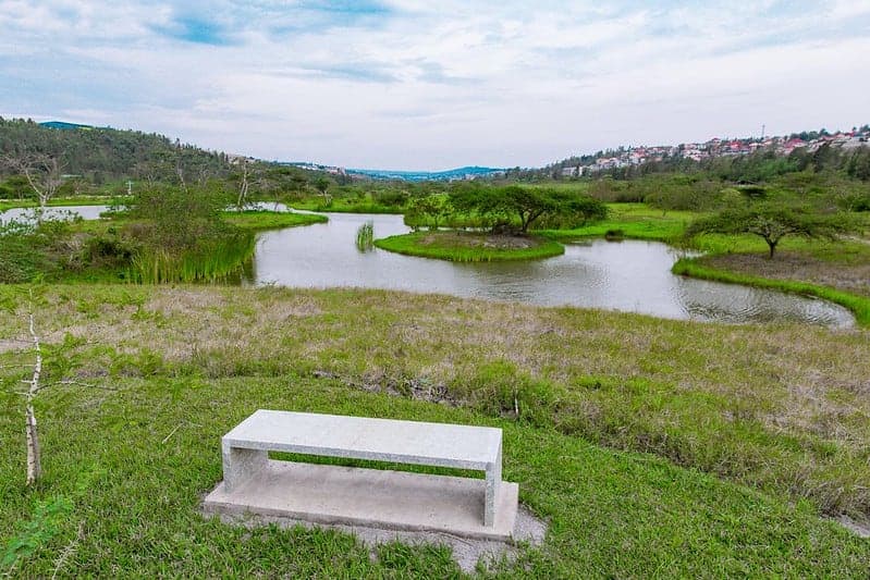 Nyandungu Wetland EcoTourism Park Kigali Rwanda’s Urban Nature Escape