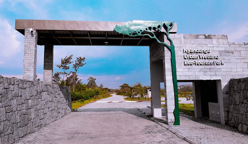 Nyandungu Wetland EcoTourism Park Kigali Rwanda’s Urban Nature Escape