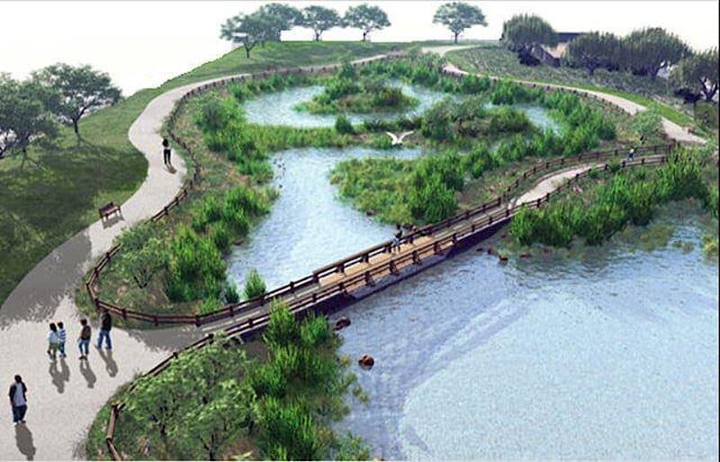 Nyandungu Wetland EcoTourism Park Kigali Rwanda’s Urban Nature Escape