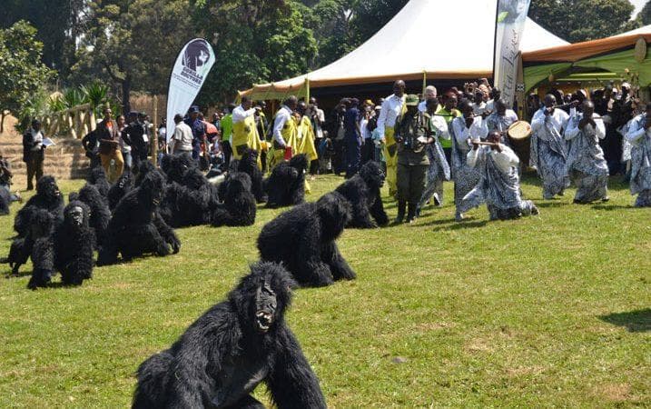 Three Months to Kwita Izina 2026: Rwanda Prepares to Celebrate Conservation, Culture and Tourism